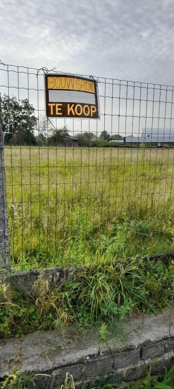 Bouwgrond te koop te Tollembeek