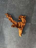 Branche en bois aquarium/terrarium, Enlèvement, Comme neuf