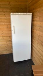 Koelkast, Ophalen, 150 tot 200 liter, 140 tot 160 cm, 45 tot 60 cm