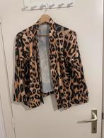 Chemise et robe leo fiori, Kleding | Dames, Truien en Vesten, Pas de marque, Bruin, Maat 46/48 (XL) of groter, Nieuw