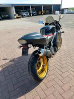 Triumph Daytona 995 i, Particulier
