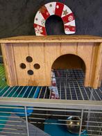 Cage rongeur, Animaux & Accessoires, 90 cm ou plus, Rat, Cage, Utilisé