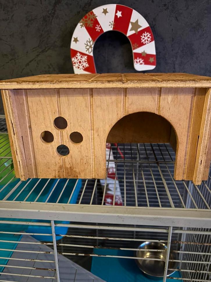 Cage rongeur, Dieren en Toebehoren, Knaagdieren en Konijnen | Hokken en Kooien, Gebruikt, Kooi, 90 cm of meer, Minder dan 75 cm