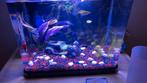 Aquarium volledige set, Ophalen, Zo goed als nieuw