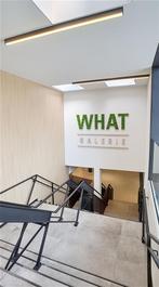 Commerce à louer à Waterloo, 305 m², Overige soorten