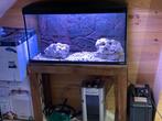 Ferplast aquarium met cristalprofi filter, Ophalen, Gebruikt, Plant(en), Steen of Hout