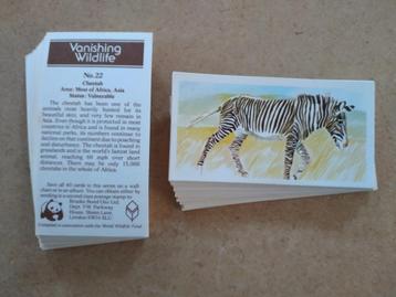 Vanishing Wildlife complete set 40 chromos Brooke Bond 1978 disponible aux enchères