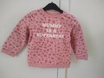 Roze trui met luipaard print maat 80 Baby Club, Kinderen en Baby's, Gebruikt, Babyclub, Ophalen of Verzenden, Truitje of Vestje