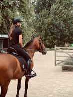 Spaanse ruin, Dieren en Toebehoren, Paarden, Gechipt, Ruin, 3 tot 6 jaar, 160 tot 165 cm