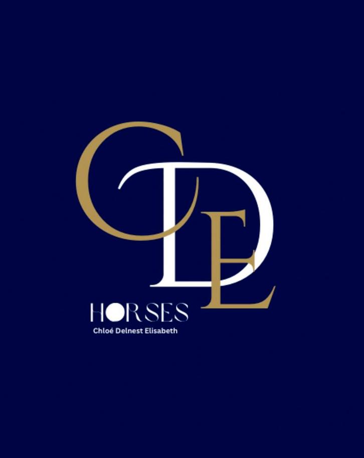 Stal hulp gezocht, Animaux & Accessoires, Chevaux