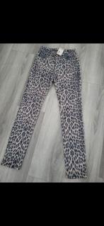 Esqualo!, Kleding | Dames, Ophalen of Verzenden, Maat 34 (XS) of kleiner, Nieuw, Esqualo