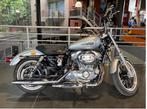 Harley-Davidson SPORTSTER 883 LOW, 883 cm³, 2 cylindres, Chopper, Entreprise