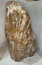 versteend hout 1000 kilo in een mix, Verzamelen, Mineralen en Fossielen, Ophalen of Verzenden, Fossiel