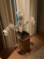Orchidee + pot, Tuin en Terras, Bloempotten, Binnen, Zo goed als nieuw, Ophalen