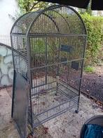 Grande voliere  cage a perroquet  ou chinchila, Utilisé, Enlèvement ou Envoi