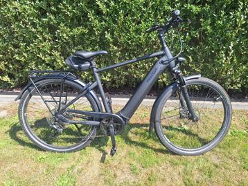  Pegasus Premio EVO 10 Lite 2023 beschikbaar voor biedingen