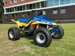 Suzuki LT 500R Quadzilla met kenteken, Motoren