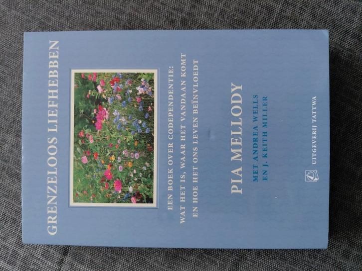 Pia Mellody - Grenzeloos liefhebben, Livres, Science, Comme neuf, Enlèvement ou Envoi