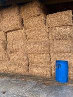 Hooi, Dieren en Toebehoren, Ophalen, Vee