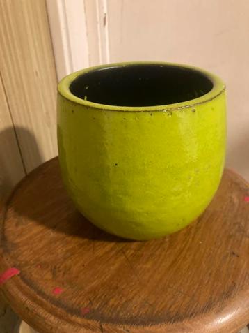Greenshine gelakt ,bloem of plantenpot beschikbaar voor biedingen