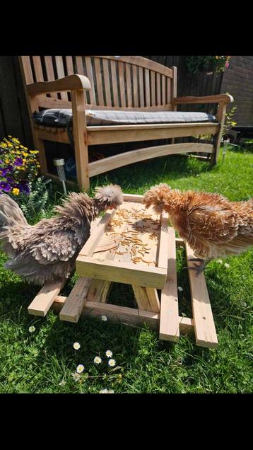 Chicknick tafeltje  beschikbaar voor biedingen