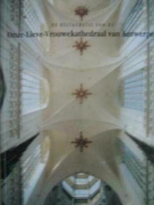 De restauratie van de Onze-Lieve-Vrouwekathedraal van, Boeken, Geschiedenis | Stad en Regio, Zo goed als nieuw, Ophalen of Verzenden
