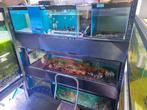 Aquariumstelling, Dieren en Toebehoren, Vissen | Aquaria en Toebehoren, Ophalen, Zo goed als nieuw