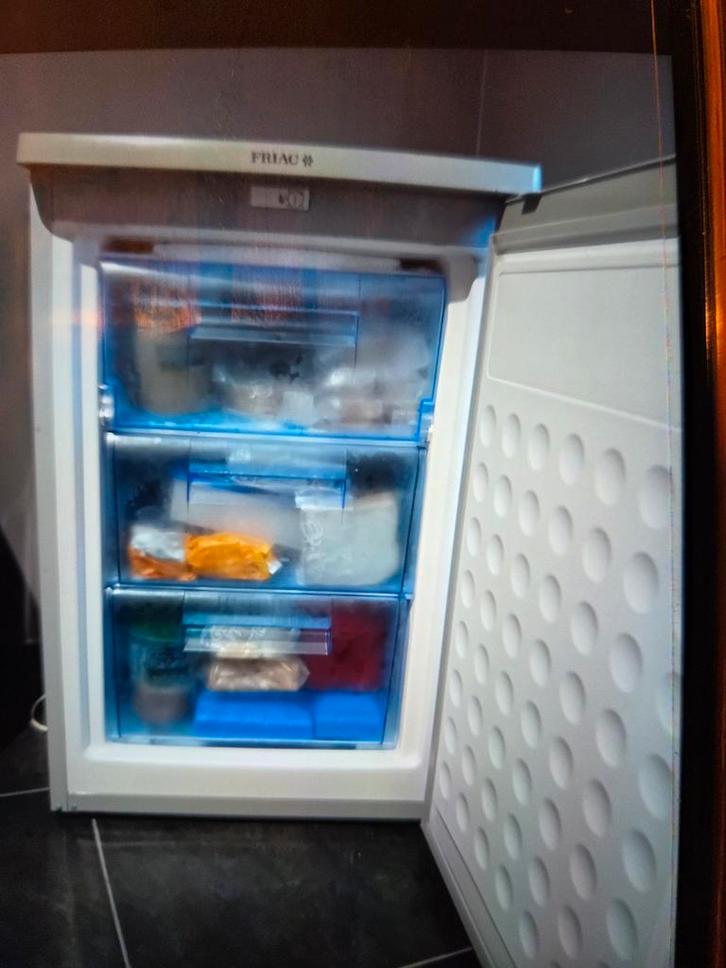 Friac diepvriezer, Elektronische apparatuur, Vriezers en Diepvrieskisten, Ophalen