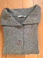 Wollen gilet maat 44, Kleding | Dames, Truien en Vesten, Maat 42/44 (L), Ophalen of Verzenden, Zo goed als nieuw, Grijs