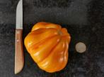 5 zaden grote gele tomaat Yellow Torbicki - biologisch, Tuin en Terras, Verzenden, Voorjaar, Zaad