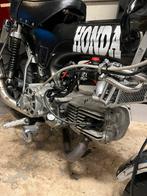 190cc daytona custom plug and play, Enlèvement ou Envoi, Utilisé