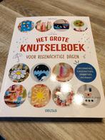 Roshin Ono - Dierenrijk en het grote knutselboek, Ophalen of Verzenden, Zo goed als nieuw, Roshin Ono; Mari Ono