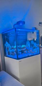 Zeequrium Red Sea 170, Dieren en Toebehoren, Vissen | Aquaria en Toebehoren, Ophalen