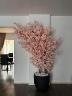 Bloesemboom, Huis en Inrichting, Ophalen, Nieuw, Binnen