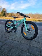 Specialized Riprock 20, Enlèvement, Comme neuf, 16 à 20 pouces, Specialized