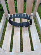 Halsband hond, Dieren en Toebehoren, Hondenhalsbanden en Penningen, Ophalen, Zo goed als nieuw