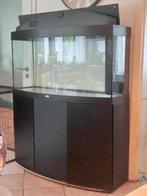 Aquarium JUWEL VISION 260, Dieren en Toebehoren, Ophalen, Gebruikt, Leeg aquarium