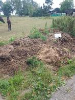 Mest, Dieren en Toebehoren, Stalling en Weidegang