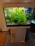Juwel aquarium, Dieren en Toebehoren, Ophalen, Zo goed als nieuw