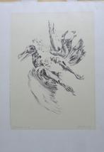 GUIDO MARIMAN / EMBRYONAAL LEVEN / KLEURLITHO / 47x32cm SIG, Antiek en Kunst, Ophalen of Verzenden