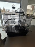 Grande cage pour hamster – 2 étages entièrement équipée, Cage, Utilisé, Hamster, 60 à 90 cm