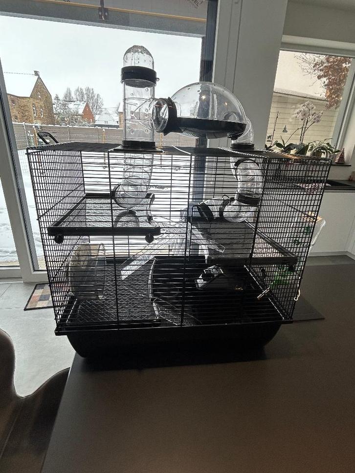 Grande cage pour hamster – 2 étages entièrement équipée, Dieren en Toebehoren, Knaagdieren en Konijnen | Hokken en Kooien, Gebruikt
