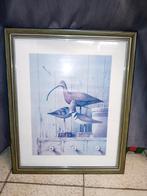 Print van kunstwerk - vogels steltlopers -  Ray Hendershot, Enlèvement