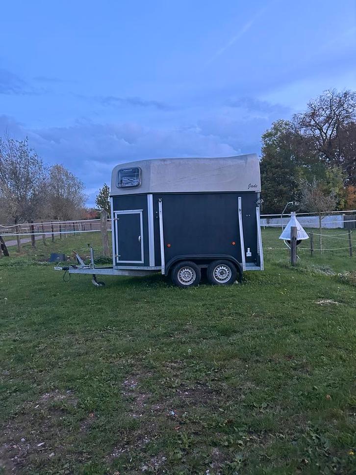Verhuur paardentrailer, Dieren en Toebehoren, Paarden en Pony's | Trailers en Aanhangwagens, Ophalen
