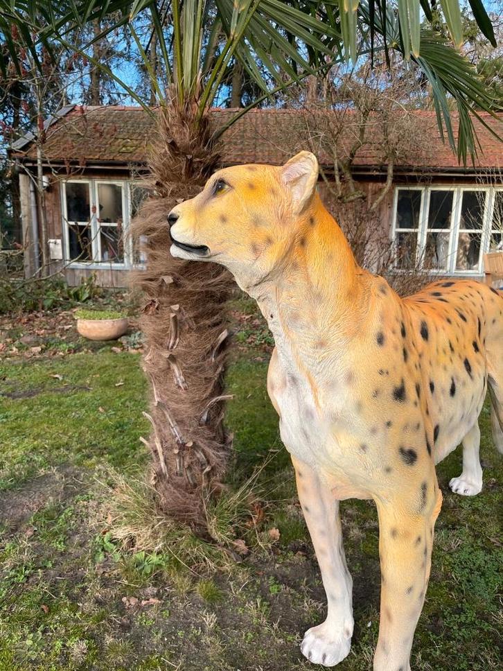 Beeld cheetah, woonkamer, tuin, zwembad, vijver 170cm, Tuin en Terras, Tuinbeelden, Nieuw, Dierenbeeld, Kunststof, Ophalen