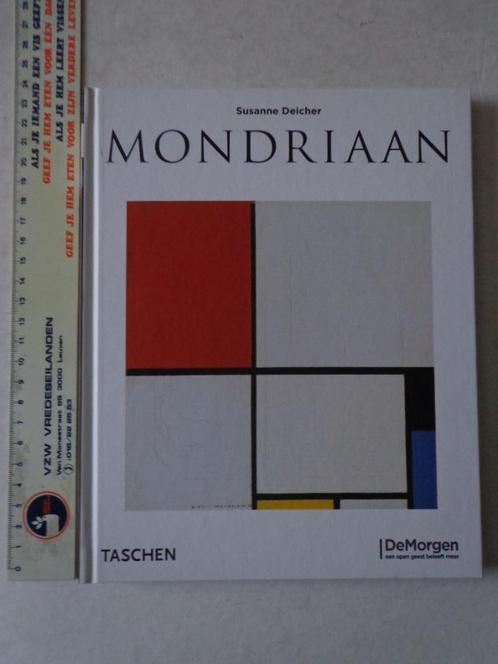 kunstboek Piet Mondriaan door Susanne Deicher uit 2007, Livres, Art & Culture | Arts plastiques, Utilisé, Peinture et dessin, Enlèvement ou Envoi