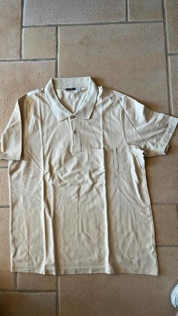 Polo livergy large