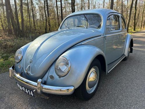 Volkswagen Kever 1200 Ovaal uit 1955, Auto's, Oldtimers, Particulier, Volkswagen, Benzine, Stadsauto, 2 deurs, Handgeschakeld