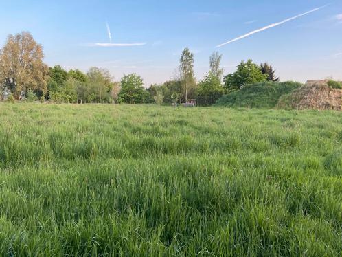 Gras voor vee beschikbaar – zelf te maaien, Dieren en Toebehoren, Stalling en Weidegang, Opfok, Weidegang, 4 paarden of pony's of meer