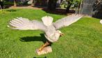 Taxidermie zeemeeuw uil hoen eekhoorn opgezette dieren, mvg, Ophalen